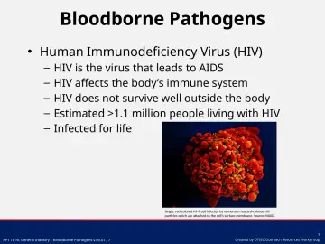 Bloodborne Pathogens: free PowerPoint · OSHA Outreach Trainer